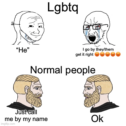 Yes | Lgbtq; “He”; I go by they/them get it right 😡😡😡😡😡; Normal people; Just call me by my name; Ok | image tagged in wojack vs chad | made w/ Imgflip meme maker