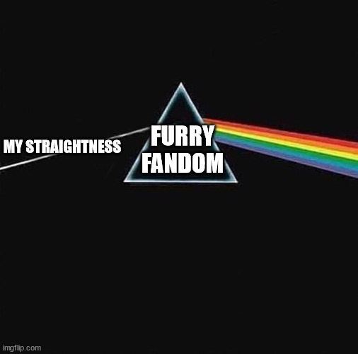 HMM | FURRY FANDOM; MY STRAIGHTNESS | image tagged in light in gay out,the furry fandom,furry,furries,furry memes | made w/ Imgflip meme maker