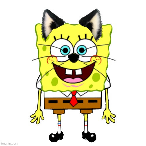 Cat spongebob | made w/ Imgflip meme maker