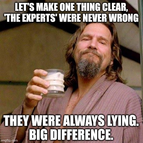 Lied about ivermectin, the vaccine, everything. |  LET'S MAKE ONE THING CLEAR,
'THE EXPERTS' WERE NEVER WRONG; THEY WERE ALWAYS LYING.
BIG DIFFERENCE. | image tagged in the dude,ConservativesOnly | made w/ Imgflip meme maker