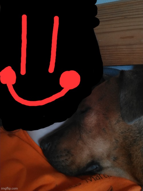 Totally not my dog doing something adorable- this is for 69 followers- | made w/ Imgflip meme maker