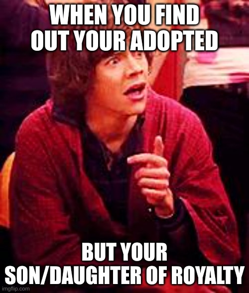omg what!?!? | WHEN YOU FIND OUT YOUR ADOPTED; BUT YOUR SON/DAUGHTER OF ROYALTY | image tagged in shocked one direction | made w/ Imgflip meme maker