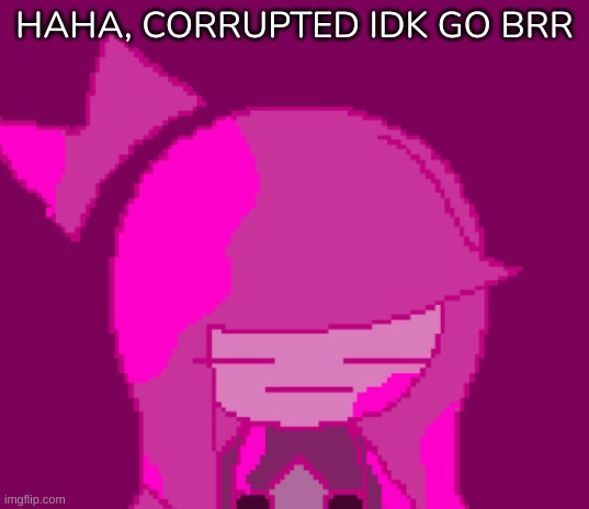 Idk officially got corrupted by Alan | HAHA, CORRUPTED IDK GO BRR | image tagged in idk,stuff,s o u p,carck | made w/ Imgflip meme maker