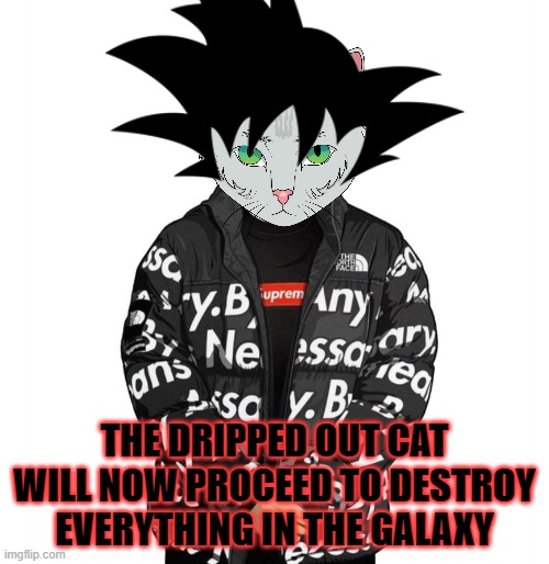 cat drip | THE DRIPPED OUT CAT WILL NOW PROCEED TO DESTROY EVERYTHING IN THE GALAXY | image tagged in goku drip | made w/ Imgflip meme maker