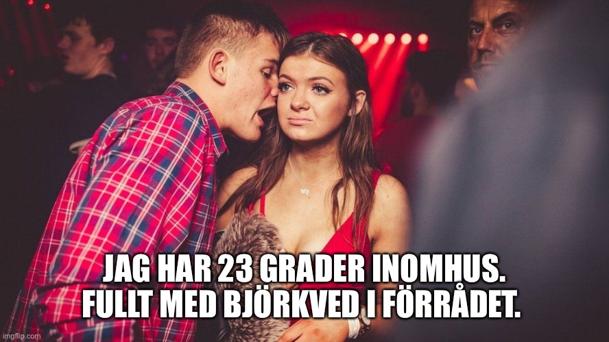 Guy talking to girl | JAG HAR 23 GRADER INOMHUS. FULLT MED BJÖRKVED I FÖRRÅDET. | image tagged in guy talking to girl | made w/ Imgflip meme maker