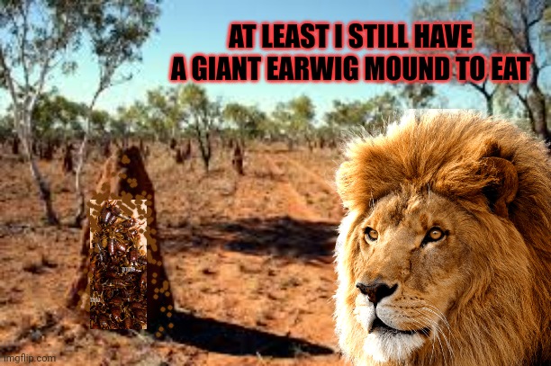 AT LEAST I STILL HAVE A GIANT EARWIG MOUND TO EAT | made w/ Imgflip meme maker