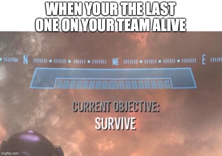 pro tip: dont die | WHEN YOUR THE LAST ONE ON YOUR TEAM ALIVE | image tagged in current objective survive,gn,gaming | made w/ Imgflip meme maker