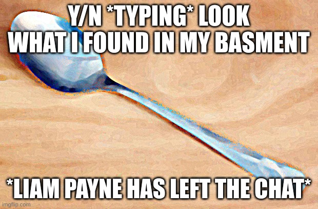 only directioners would understand lol | Y/N *TYPING* LOOK WHAT I FOUND IN MY BASMENT; *LIAM PAYNE HAS LEFT THE CHAT* | image tagged in spoon | made w/ Imgflip meme maker