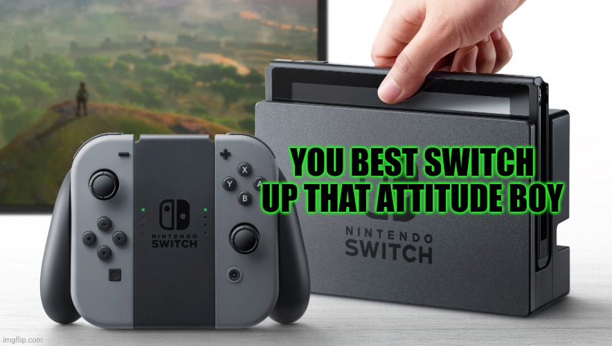 Nintendo Switch | YOU BEST SWITCH UP THAT ATTITUDE BOY | image tagged in nintendo switch | made w/ Imgflip meme maker