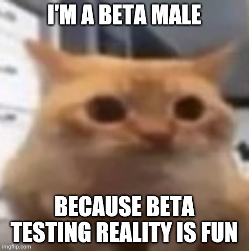 This is what REAL beta males do | I'M A BETA MALE; BECAUSE BETA TESTING REALITY IS FUN | image tagged in spoingus | made w/ Imgflip meme maker