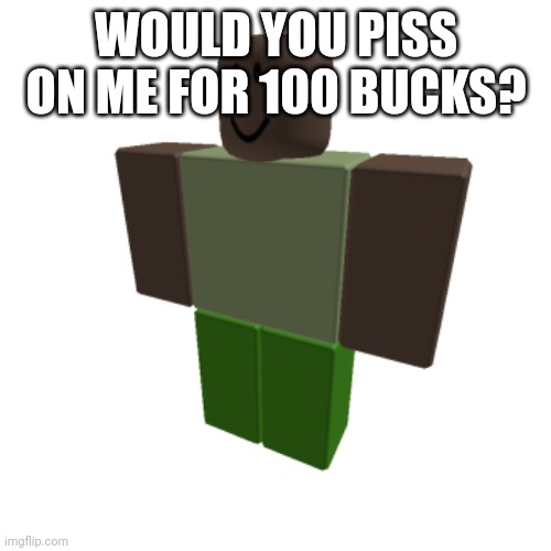 Roblox oc | WOULD YOU PISS ON ME FOR 100 BUCKS? | image tagged in roblox oc | made w/ Imgflip meme maker