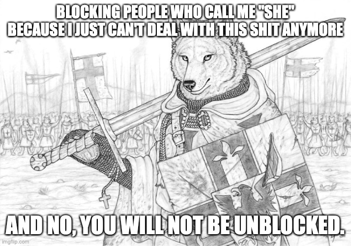 the comments are closed so y'all can go away (people who have re-enabled comments: Cinna, Benjamin) | BLOCKING PEOPLE WHO CALL ME "SHE" BECAUSE I JUST CAN'T DEAL WITH THIS SHIT ANYMORE; AND NO, YOU WILL NOT BE UNBLOCKED. | image tagged in fursader | made w/ Imgflip meme maker