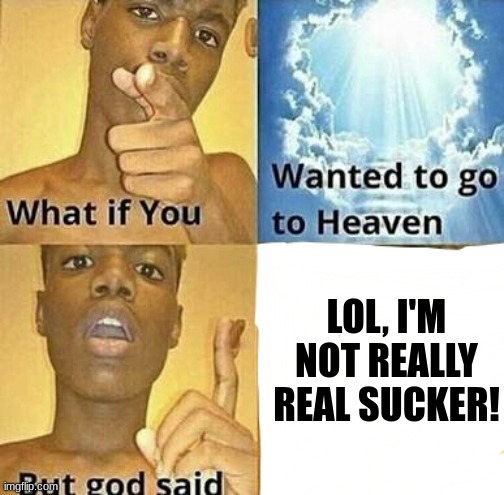 No Heaven For You | LOL, I'M NOT REALLY REAL SUCKER! | image tagged in what if you wanted to go to heaven,memes,god not real,agnostic | made w/ Imgflip meme maker