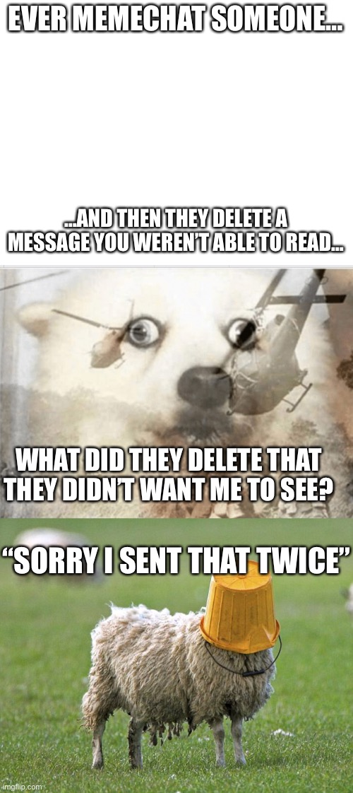 Idot_The_Artist gave inspo for this meme when they sent a message twice, lol | EVER MEMECHAT SOMEONE…; …AND THEN THEY DELETE A MESSAGE YOU WEREN’T ABLE TO READ…; WHAT DID THEY DELETE THAT THEY DIDN’T WANT ME TO SEE? “SORRY I SENT THAT TWICE” | image tagged in blank white template,ptsd dog,stupid sheep | made w/ Imgflip meme maker