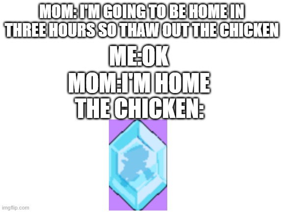 Blank White Template | MOM: I'M GOING TO BE HOME IN THREE HOURS SO THAW OUT THE CHICKEN; ME:OK; MOM:I'M HOME; THE CHICKEN: | image tagged in blank white template | made w/ Imgflip meme maker