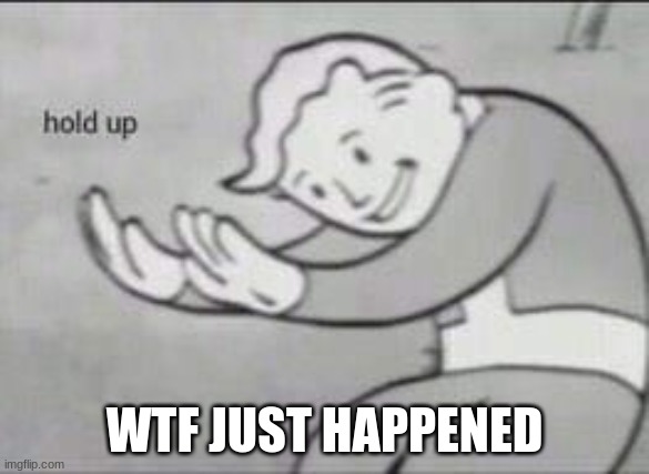 Fallout Hold Up | WTF JUST HAPPENED | image tagged in fallout hold up | made w/ Imgflip meme maker