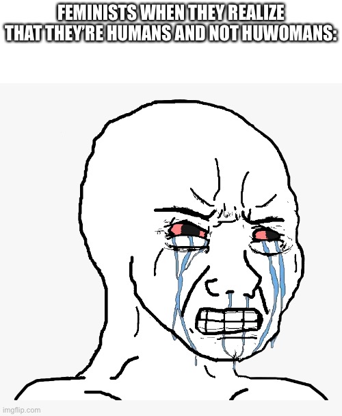 Angry crying | FEMINISTS WHEN THEY REALIZE THAT THEY’RE HUMANS AND NOT HUWOMANS: | image tagged in angry crying | made w/ Imgflip meme maker