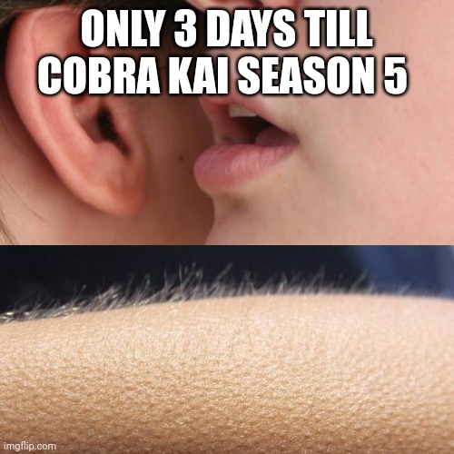 Only 3 days!!! (◔‿◔) | ONLY 3 DAYS TILL COBRA KAI SEASON 5 | image tagged in whisper and goosebumps,memes,cobra kai,yay,finally | made w/ Imgflip meme maker