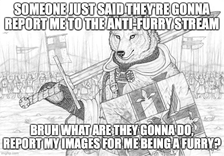 Fursader. | SOMEONE JUST SAID THEY'RE GONNA REPORT ME TO THE ANTI-FURRY STREAM; BRUH WHAT ARE THEY GONNA DO, REPORT MY IMAGES FOR ME BEING A FURRY? | image tagged in fursader | made w/ Imgflip meme maker