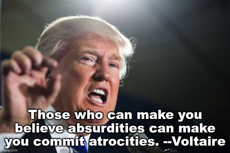 The Next Step | Those who can make you believe absurdities can make you commit atrocities. --Voltaire | image tagged in donald trump | made w/ Imgflip meme maker