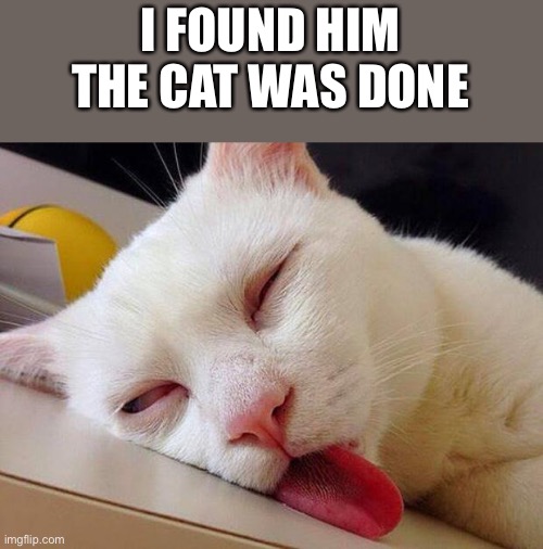 This is what happens when you the cat | I FOUND HIM
THE CAT WAS DONE | image tagged in drunk cat boeing,please do not the cat | made w/ Imgflip meme maker