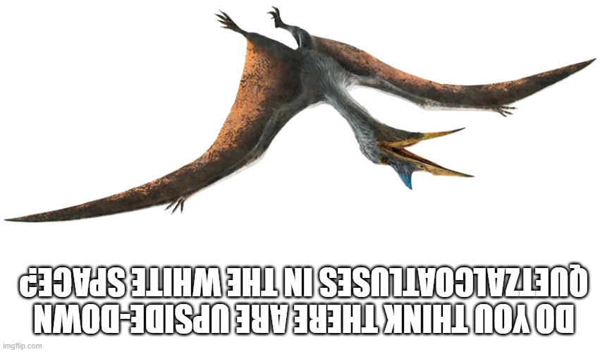 Do you think there are upside-down Quetzalcoatluses in the white space? | DO YOU THINK THERE ARE UPSIDE-DOWN QUETZALCOATLUSES IN THE WHITE SPACE? | image tagged in quetzalcoatlus,jurassic world,dinosaurs | made w/ Imgflip meme maker