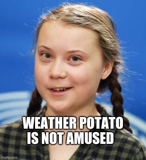Climate A$$ clowns | WEATHER POTATO IS NOT AMUSED | image tagged in greta thunberg | made w/ Imgflip meme maker