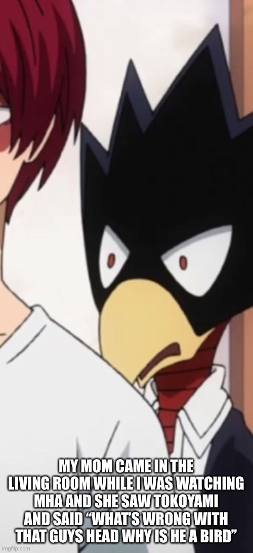 Tokoyami is disgusted | MY MOM CAME IN THE LIVING ROOM WHILE I WAS WATCHING MHA AND SHE SAW TOKOYAMI AND SAID “WHAT’S WRONG WITH THAT GUYS HEAD WHY IS HE A BIRD” | image tagged in tokoyami is disgusted | made w/ Imgflip meme maker