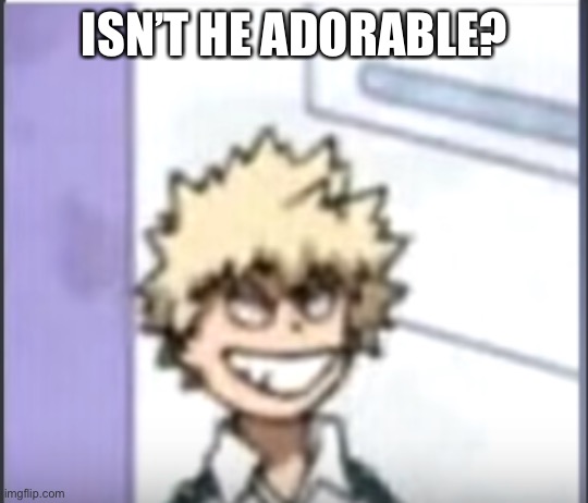 Bakugo sero smile | ISN’T HE ADORABLE? | image tagged in bakugo sero smile | made w/ Imgflip meme maker