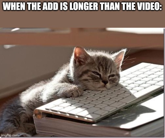 Bored Keyboard Cat | WHEN THE ADD IS LONGER THAN THE VIDEO: | image tagged in bored keyboard cat | made w/ Imgflip meme maker