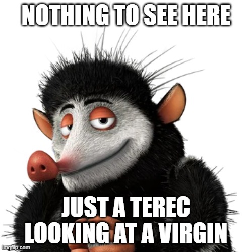 NOTHING TO SEE HERE; JUST A TEREC LOOKING AT A VIRGIN | made w/ Imgflip meme maker