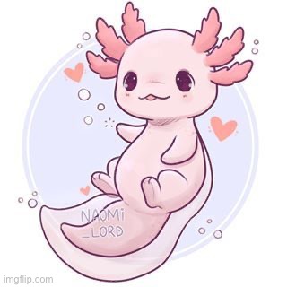 i love axolotls | made w/ Imgflip meme maker