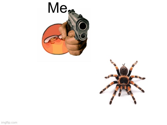 Blank White Template |  Me | image tagged in blank white template,spider,gun,cursed emoji | made w/ Imgflip meme maker