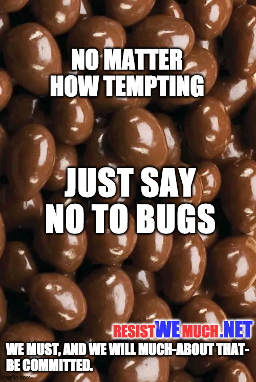 Just Say No To Bugs | NO MATTER HOW TEMPTING; JUST SAY NO TO BUGS; RESIST          MUCH; WE MUST, AND WE WILL MUCH-ABOUT THAT-
BE COMMITTED. WE           .NET | image tagged in chocolate balls | made w/ Imgflip meme maker