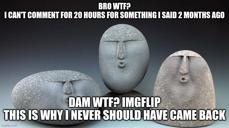Imgflip moderators mad??? lol | BRO WTF?
I CAN'T COMMENT FOR 20 HOURS FOR SOMETHING I SAID 2 MONTHS AGO; DAM WTF? IMGFLIP
THIS IS WHY I NEVER SHOULD HAVE CAME BACK | image tagged in oof stones,imgflip,mute,not funny,funny not funny,memes | made w/ Imgflip meme maker