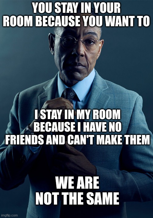 Introverts unite with this meme I made: | YOU STAY IN YOUR ROOM BECAUSE YOU WANT TO; I STAY IN MY ROOM BECAUSE I HAVE NO FRIENDS AND CAN'T MAKE THEM; WE ARE NOT THE SAME | image tagged in gus fring we are not the same | made w/ Imgflip meme maker