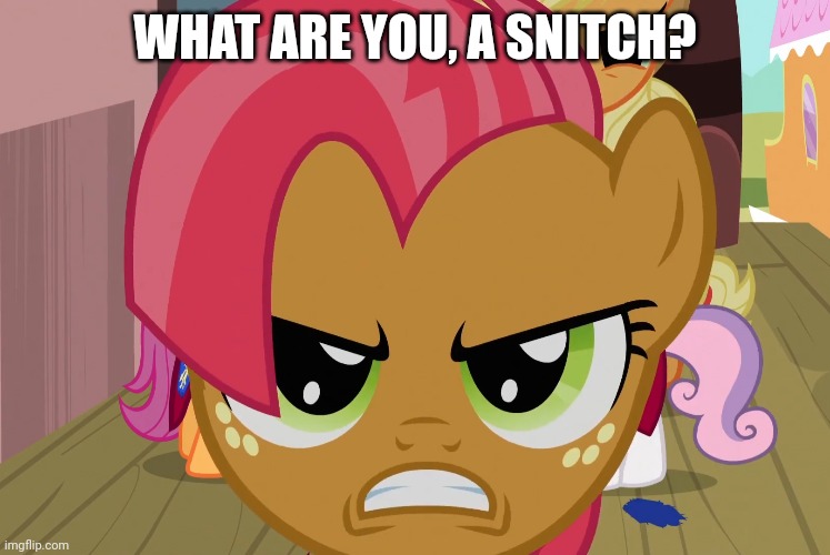 What are you, a snitch? | WHAT ARE YOU, A SNITCH? | image tagged in babs seed,my little pony,quotes | made w/ Imgflip meme maker