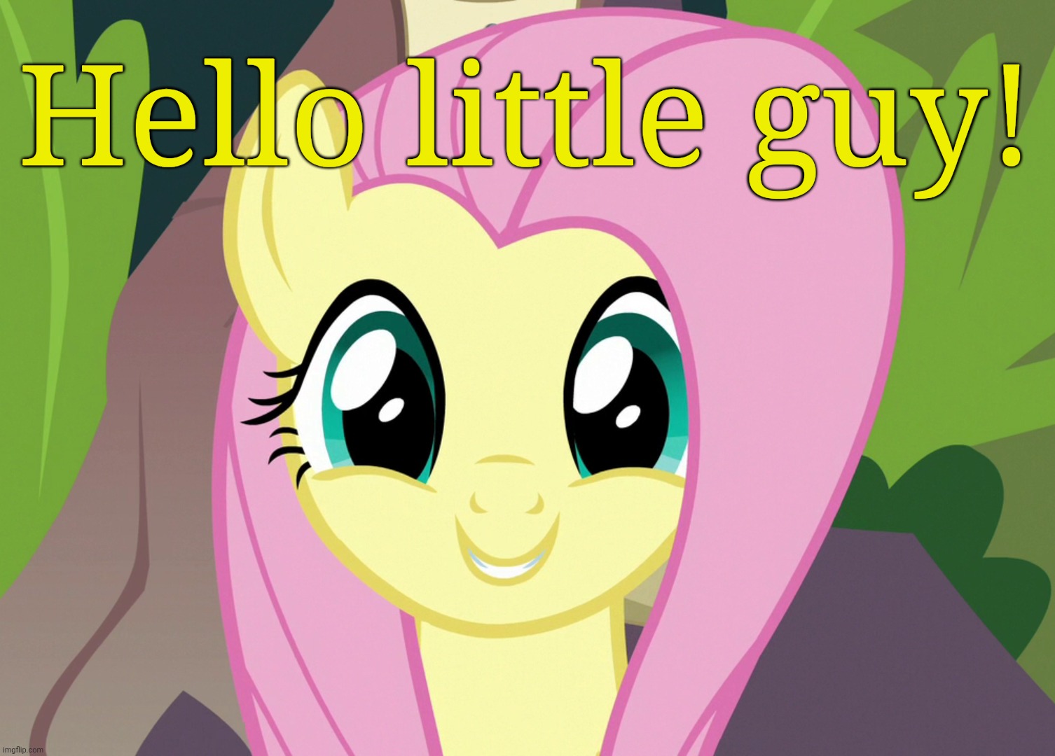 Shyabetes 2 (MLP) | Hello little guy! | image tagged in shyabetes 2 mlp | made w/ Imgflip meme maker