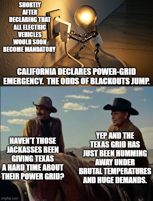 Don't you leftists hate it when you virtue signal and then the power grid goes down? | SHORTLY AFTER DECLARING THAT ALL ELECTRIC VEHICLES WOULD SOON BECOME MANDATORY; CALIFORNIA DECLARES POWER-GRID EMERGENCY.  THE ODDS OF BLACKOUTS JUMP. YEP AND THE TEXAS GRID HAS JUST BEEN HUMMING AWAY UNDER BRUTAL TEMPERATURES AND HUGE DEMANDS. HAVEN'T THOSE JACKASSES BEEN GIVING TEXAS A HARD TIME ABOUT THEIR POWER GRID? | image tagged in power grid | made w/ Imgflip meme maker
