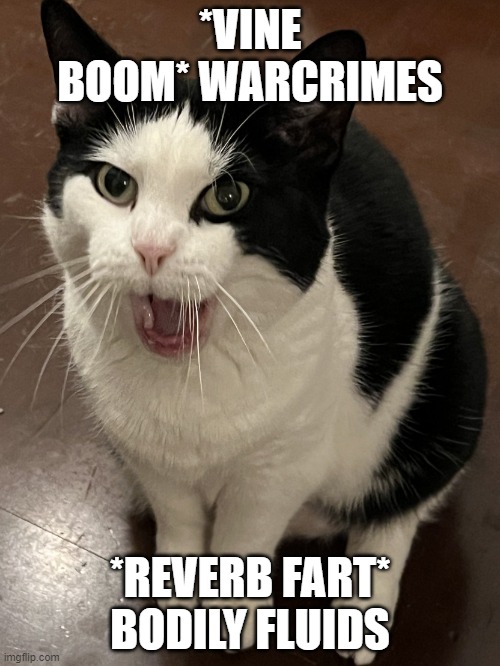 goofy ahh lolcat | *VINE BOOM* WARCRIMES; *REVERB FART* BODILY FLUIDS | image tagged in lolcat laughing,lolcat,lolcats,goofy ahh,fart,farts | made w/ Imgflip meme maker