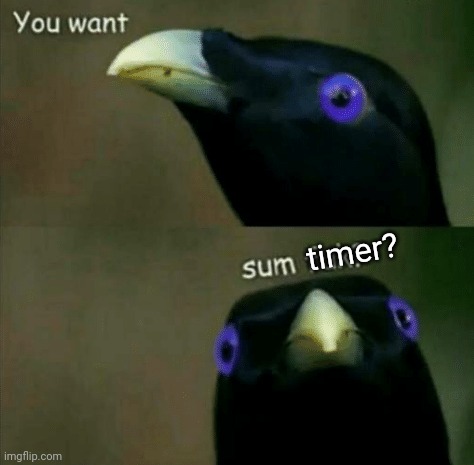 you want some fuk? | timer? | image tagged in you want some fuk | made w/ Imgflip meme maker