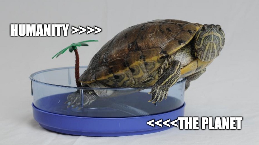 Terra Firma !? | HUMANITY >>>>; <<<<THE PLANET | image tagged in funny,turtle,earth | made w/ Imgflip meme maker