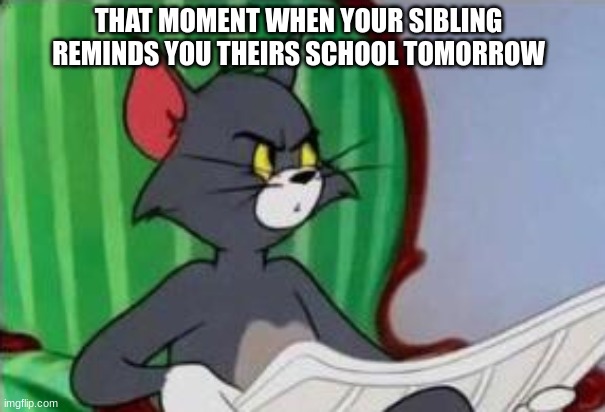 Tom (And Jerry) | THAT MOMENT WHEN YOUR SIBLING REMINDS YOU THEIRS SCHOOL TOMORROW | image tagged in tom and jerry,school | made w/ Imgflip meme maker