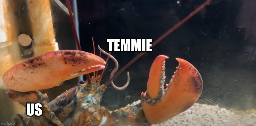 All hail the worm | TEMMIE; US | image tagged in all hail the worm | made w/ Imgflip meme maker