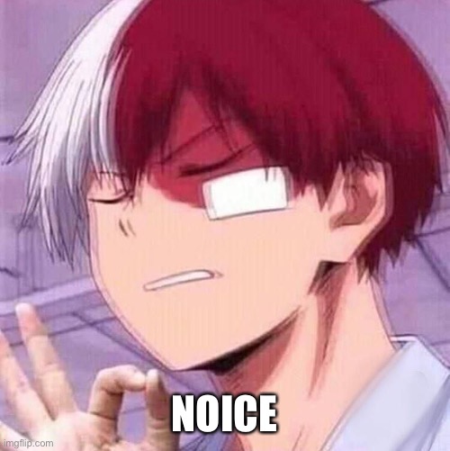 Todoroki | NOICE | image tagged in todoroki | made w/ Imgflip meme maker