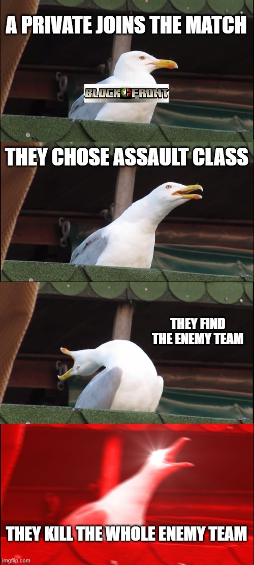 Inhaling Seagull | A PRIVATE JOINS THE MATCH; THEY CHOSE ASSAULT CLASS; THEY FIND THE ENEMY TEAM; THEY KILL THE WHOLE ENEMY TEAM | image tagged in memes,inhaling seagull | made w/ Imgflip meme maker