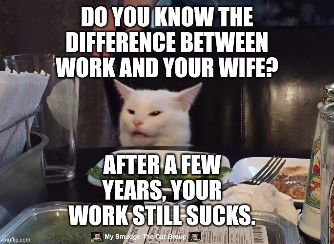 DO YOU KNOW THE DIFFERENCE BETWEEN WORK AND YOUR WIFE? AFTER A FEW YEARS, YOUR WORK STILL SUCKS. | image tagged in smudge the cat | made w/ Imgflip meme maker