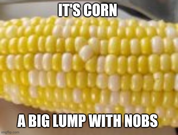 IT HAS THE JUICE | IT'S CORN; A BIG LUMP WITH NOBS | image tagged in unsettling corn | made w/ Imgflip meme maker