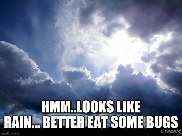 Eating bugs changes the weather | HMM..LOOKS LIKE RAIN... BETTER EAT SOME BUGS | image tagged in sun shines behind a cloudy sky | made w/ Imgflip meme maker