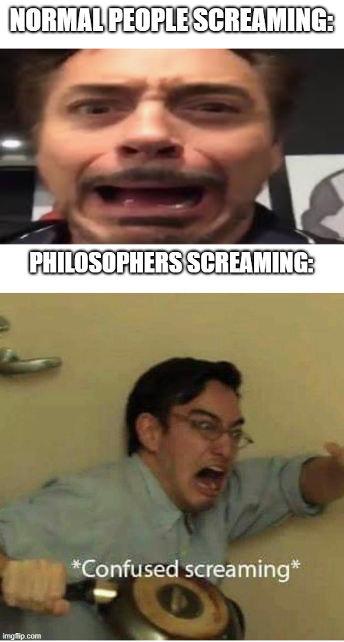 NORMAL PEOPLE SCREAMING:; PHILOSOPHERS SCREAMING: | image tagged in tony stark screaming,confused screaming | made w/ Imgflip meme maker